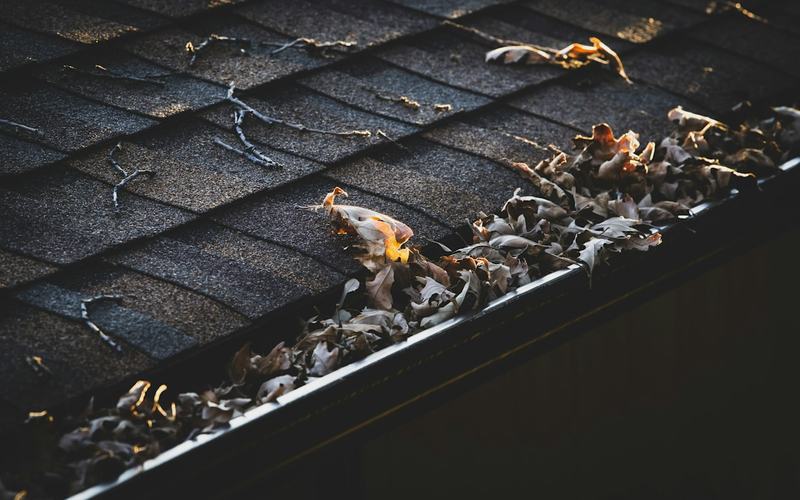 Roof gutter full of fallen leaves