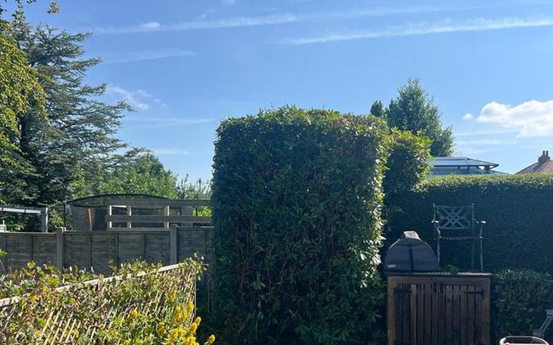 A neatly pruned shrub in a customer's garden